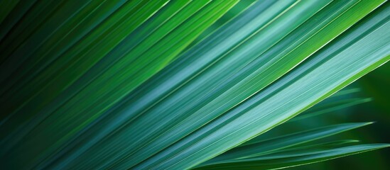 Aufkleber - Close-up green leaf on dark backdrop