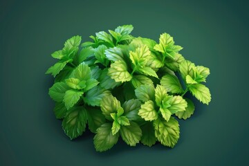Wall Mural - Close up of a bunch of green leaves. Suitable for nature backgrounds