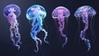 A group of jellyfish floating in the water. Suitable for marine life concepts