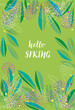Floral green background with hello spring text in the middle