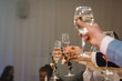 Cheers. Bride is holding glass of white wine outdoors and groom hold champagne. Wedding celebration party.  People celebrate and raise glasses for toast. Group of man and woman cheering with champagne
