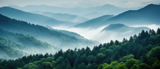 Poster - Mountain Range Amidst Misty Forest