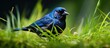 Blue bird resting amid greenery