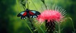 Butterfly perched on pink flower