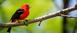 A vibrant bird rests on a tree branch in a lush forest