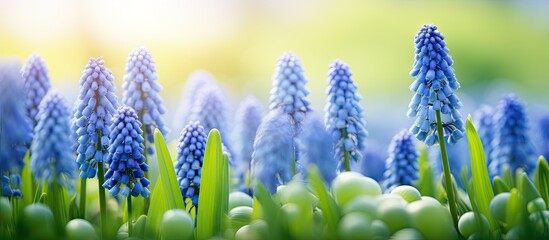 Sticker - Blue flowers bloom amid lush green grass