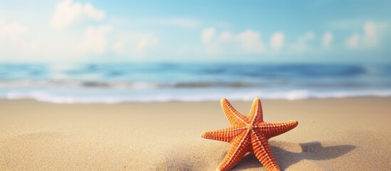Aufkleber - A seastar resting on sandy beach shore