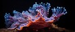 Purple and orange sea anemone close-up
