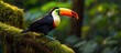 Colorful bird perched on lush branch with vibrant beak
