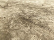 Detailed view of a concrete surface with natural patterns and imperfections