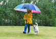 Kid in raincoat under umbrella and her dog playing on grass lawn during spring rain