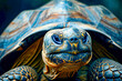 Close up of turtle's face with blue eyes and yellowish nose.