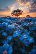 The ground is covered with blue flowers, and the sky in front has a beautiful sunrise.