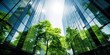 Exemplifying the ESG - Environmental, Social, Governance concept, a corporate glass building facade reflects green trees. Importance of integrating sustainability into business practice.