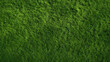 3D rendering of grass texture