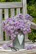 Flieder-Strauß in Zink-Vase auf Gartenbank