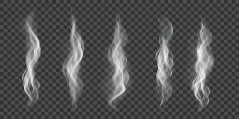 Wall Mural - wavy white smoke effect, vector realistic set