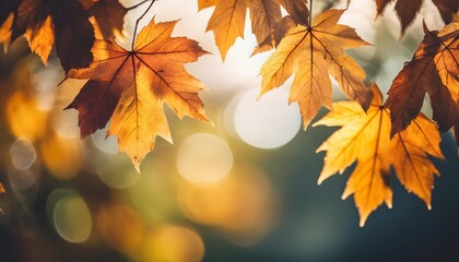 Poster - blurred out fall season abstract nature background with lots of bokeh and a bright center spotlight and a subtle vignette border ai generative