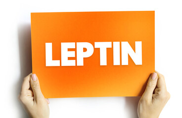 Wall Mural - Leptin is a hormone made by adipose cells and its primary role is to regulate long-term energy balance, text concept on card