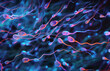 Sperm, swim and neon illustration of cells for reproduction or pregnancy, genetic and fertilisation for contraception. Seminal fluid, macro and spermatogenesis with mitochondria for movement and atp.