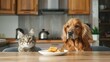 A cat and a dog are sitting together at the table waiting for food