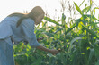 © PIPAT - Farmers are inspecting conditions and collect crop data to be analyzed. Farmer woman examining corn plants in a cultivated field. Working with digital tablet. Agricultural Occupation.