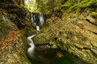 Beautiful waterfall on the Černohorský stream in the lush green summer forest near Janské Lázně in the Giant Mountains in the Czech Republic