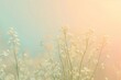 Tiny wildflowers gradient background backgrounds outdoors blossom