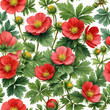 Background with Potentilla anserina with red flowers. Watercolor.
