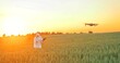 Farmer wearing protective equipment standing at the young wheat field and examining it with a drone. Nature agriculture growth footage