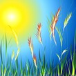 Gras und Blumen Landschaft Illustration mit dem Sonnenschein als Karte oder Hintergrund