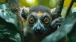 Observe the inquisitive nature of a lemur as it swings through the trees in a lush rainforest in this captivating 4K wallpaper. Its big eyes and playful demeanor add a touch of charm.