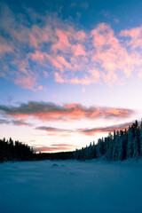 Wall Mural - Image from the Alterdalstjernet Lake, part of the Totenaasen Nature Reserve up in the Totenaasen Hills, Norway, in winter.