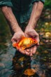 close-up of a fisherman holding a goldfish in his hands