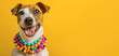 Funny dog wearing beads on a yellow background with space for text