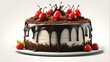 Subject Description: A stylized digital illustration of an isolated black forest cake on a white background, designed for stock image usage