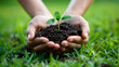 Hands nurturing a small green plant in soil, symbolizing growth and care