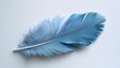 A close-up of a single blue bird feather isolated on a white background