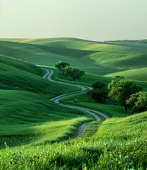 Poster - b'Countryside dirt road through the green hills'