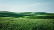 b'Green rolling hills of wheat field'