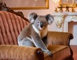Koala sur un canapé vintage en ia