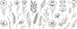 Floral collection in line art style. Hand drawn elements of wild and garden plants, branches, leaves, flowers, herbs. Vector botanical illustration for logo or tattoo, invitation, save the date, card