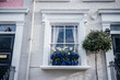 Classic Townhouse Window with Blue and White Flowers