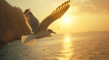 Seagull Spreads Wings Symbol