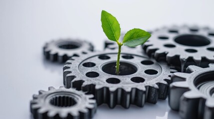 Metal gears with little plant on white background. industrial and environmental protection concept.