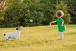 Little girl plays with pet dog on backyard lawn throwing toy ball to catch
