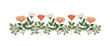 Colorful vintage spring flowers border, nature floral pattern frame isolated on white background, botanical flat design vector illustration