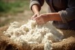 Old man gathers sheared sheep wool from ground on farm yard closeup. Mature farmer processes animal fur in ancient way outdoors. Traditional crafts of woven material producing at countryside