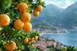 Bright oranges hang on lush green branches with a Mediterranean village and mountains in the background