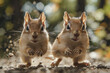 A pair of chipmunks chasing each other around a tree, a playful display of agility and speed,